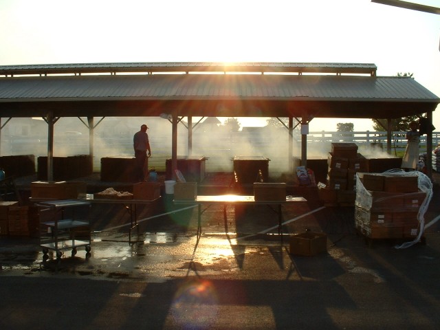 The early morning sun casts its glow over our annual Chicken BBQ